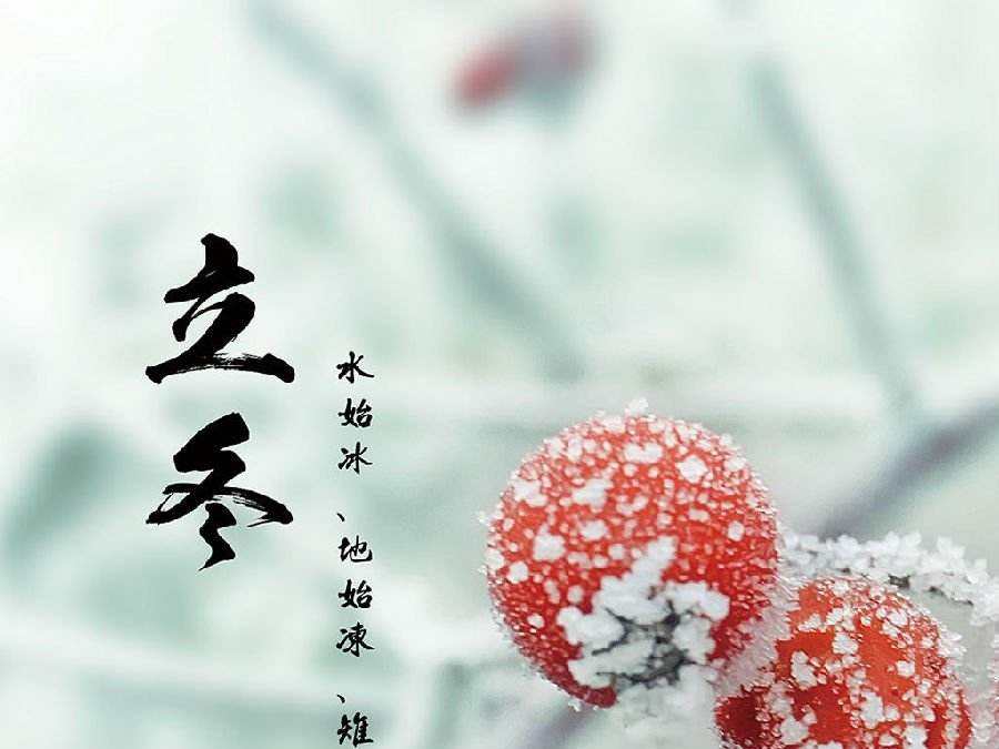 今日立冬，啟睿喊你吃餃子嘍